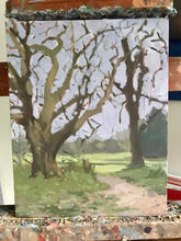 Load image into Gallery viewer, Landscape painting Regent’ Park London Plein Air Painting Oil on Canvas Original London Trees