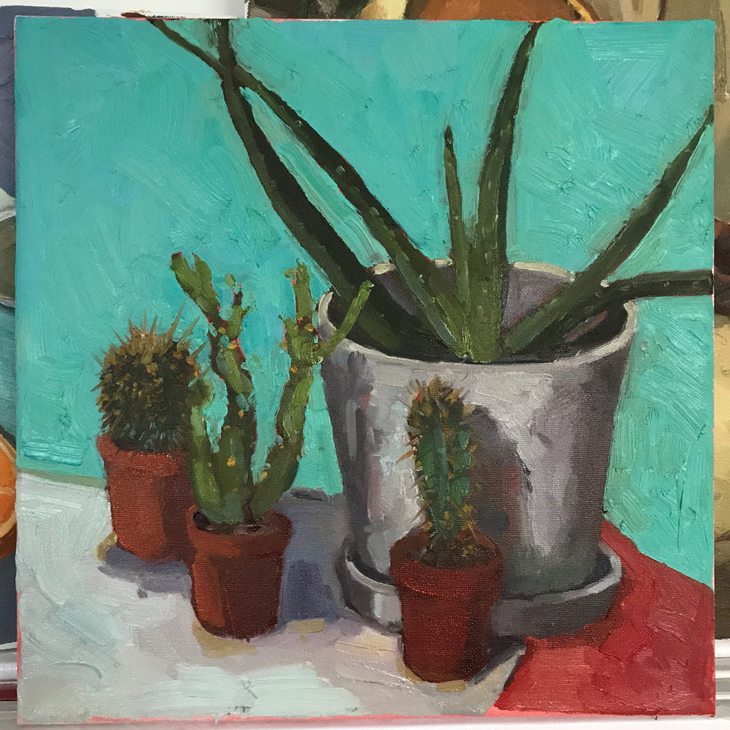 Still life Oil Painting on Canvas  Cactus Original figurative art Plant painting