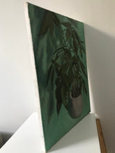 Load image into Gallery viewer, Pachira Aquatics Oil Painting on Canvas Still Life Plant