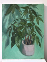 Load image into Gallery viewer, Pachira Aquatics Oil Painting on Canvas Still Life Plant