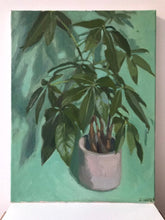Load image into Gallery viewer, Pachira Aquatics Oil Painting on Canvas Still Life Plant