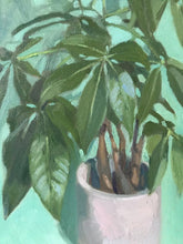 Load image into Gallery viewer, Pachira Aquatics Oil Painting on Canvas Still Life Plant