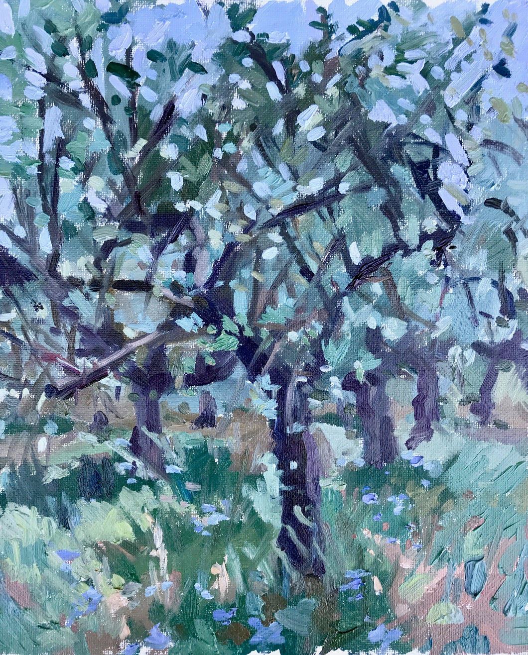 Umbria Painting Italy Olive tree Oil Painting on Canvas Umbrian Landscape Original Art Todi Original Painting Arte