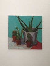 Load image into Gallery viewer, Still life Oil Painting on Canvas  Cactus Original figurative art Plant painting
