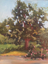 Load image into Gallery viewer, Landscape Oil Painting Plein Air on Canvas, Original art, home decoration, wedding gifts art, Trees and flowers at Harvard Arnold Arboretum
