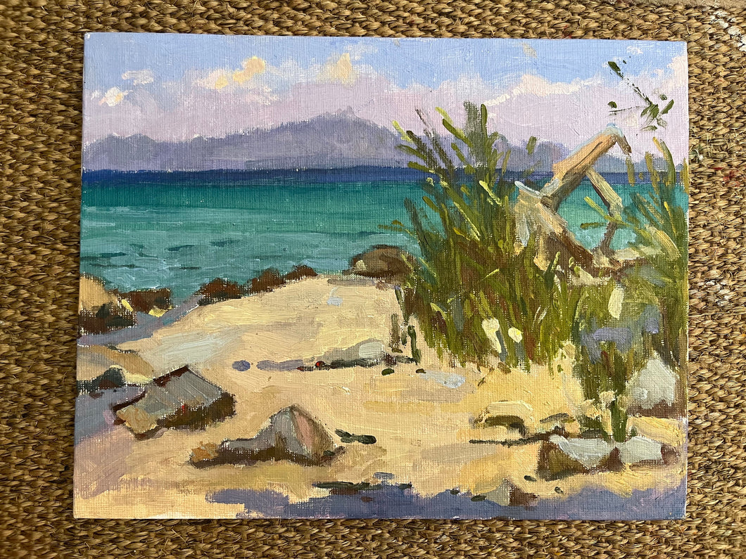 Halkidiki Beach oil painting Greece Thessaloniki seascape painting Mediterranean greek oil painting on canvas with plants and wood