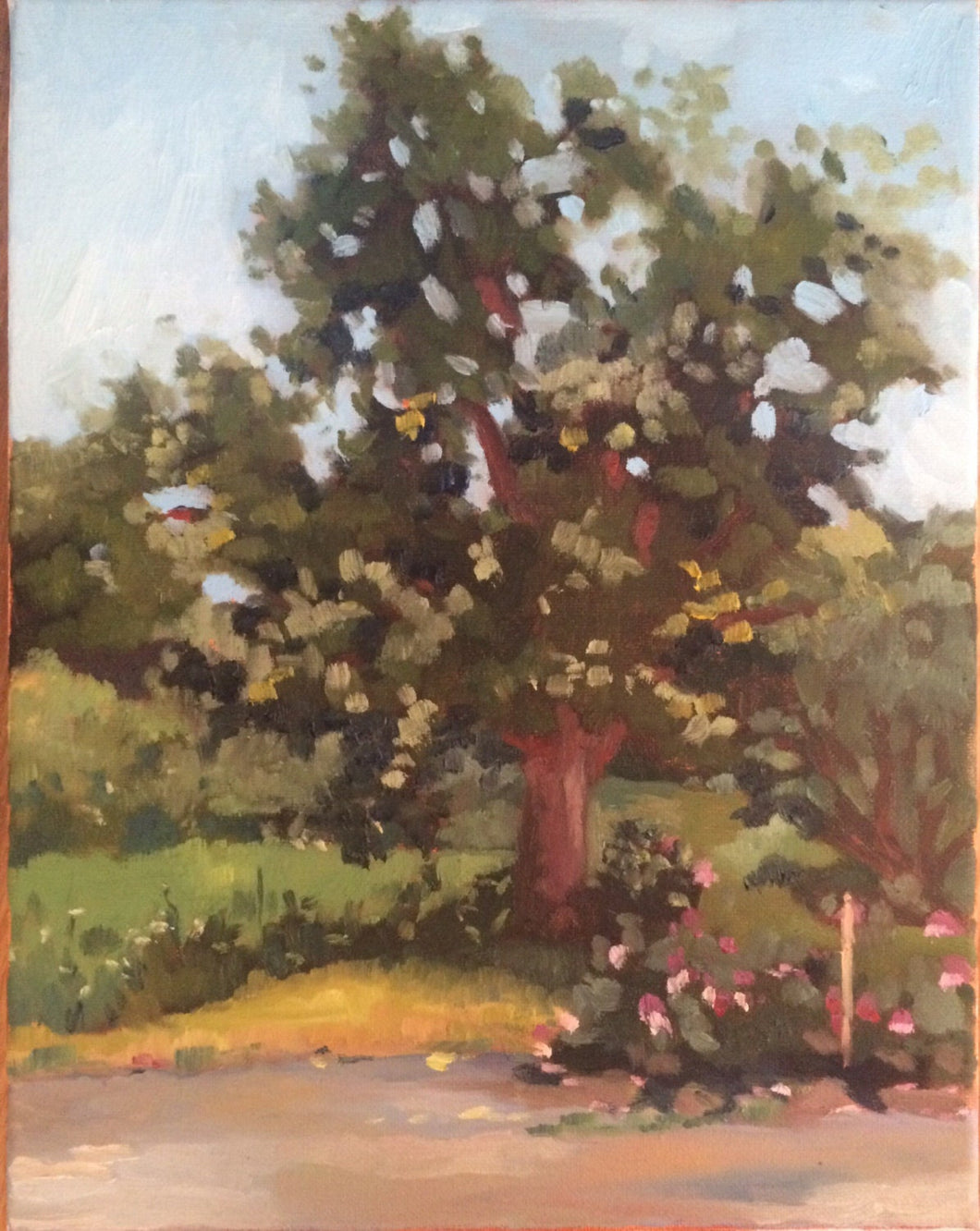 Landscape Oil Painting Plein Air on Canvas, Original art, home decoration, wedding gifts art, Trees and flowers at Harvard Arnold Arboretum