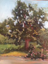 Load image into Gallery viewer, Landscape Oil Painting Plein Air on Canvas, Original art, home decoration, wedding gifts art, Trees and flowers at Harvard Arnold Arboretum
