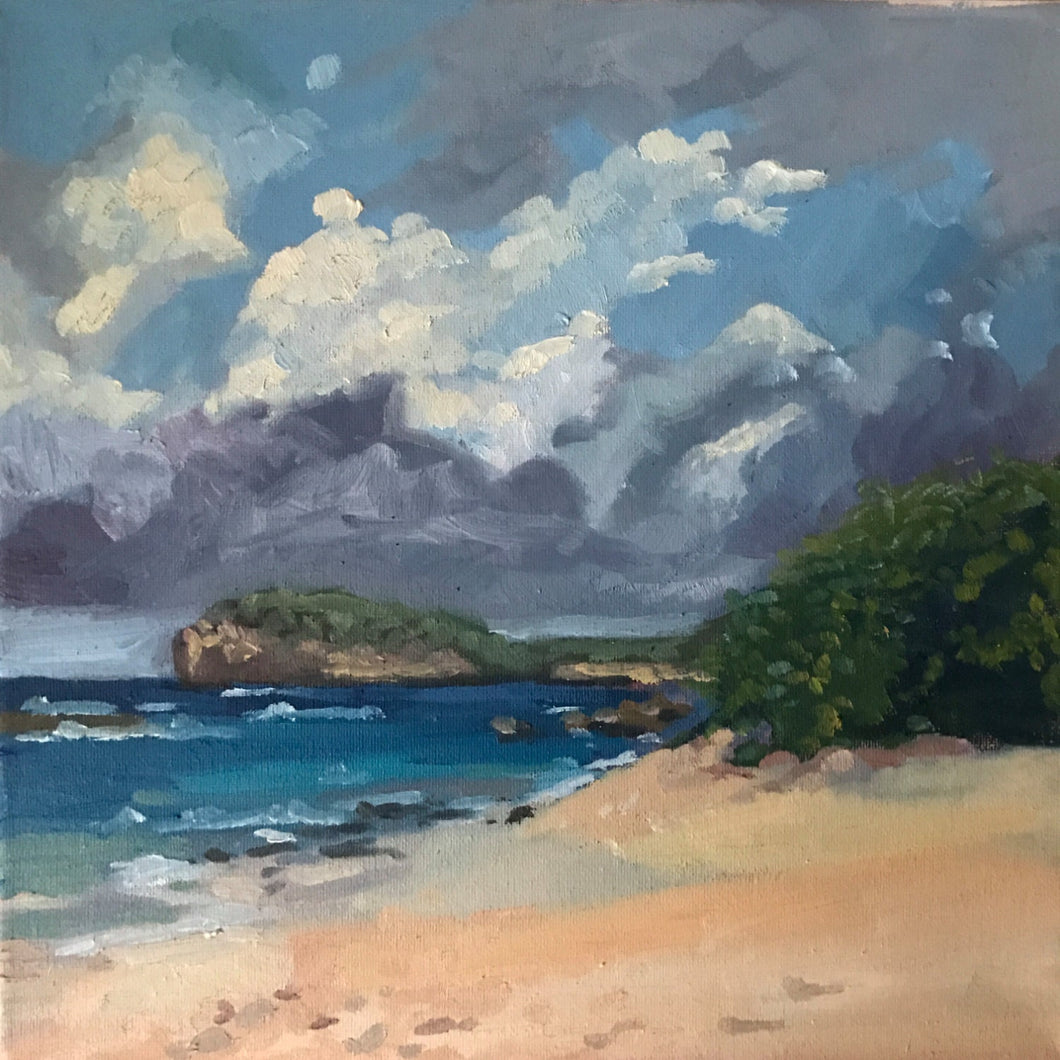 Seascape Oil Painting on Canvas Beach landscape tropical island ocean plein air art, ocean beach in Guadeloupe Caribbean landscape