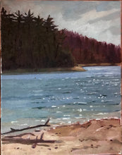 Load image into Gallery viewer, Plein Air Painting Walden Pond Lake Massachusetts painting Oil on Canvas Original work of art figurative landscape painting water lake
