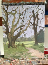 Load image into Gallery viewer, Landscape painting Regent’ Park London Plein Air Painting Oil on Canvas Original London Trees
